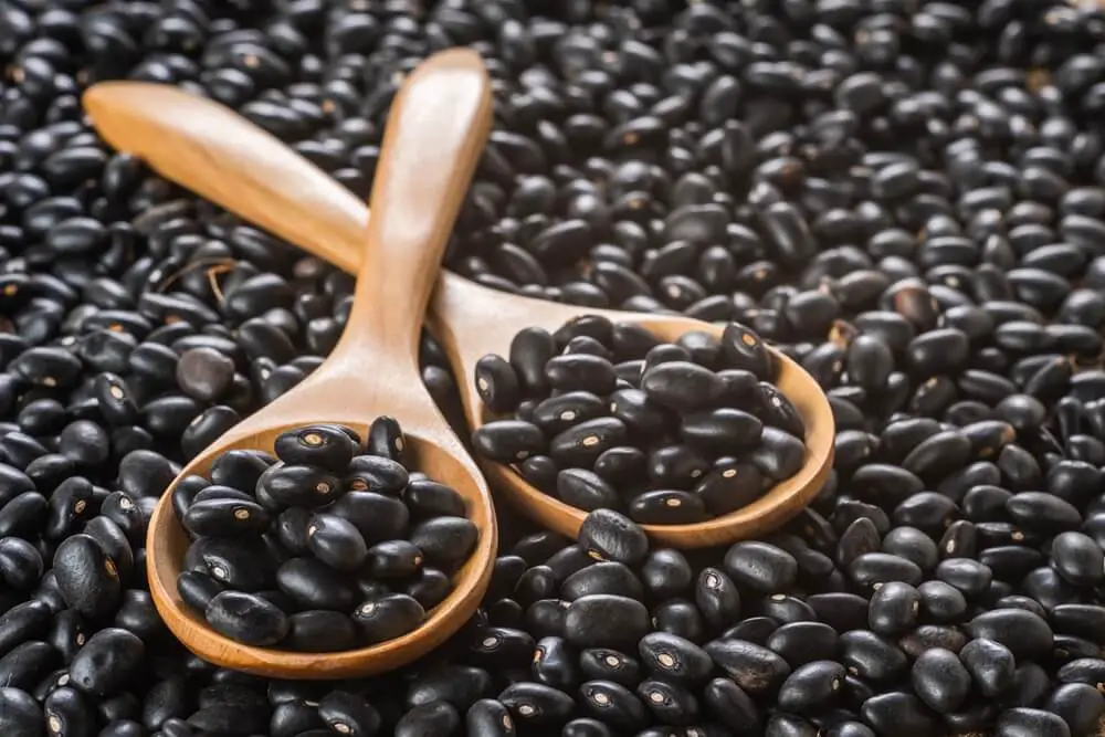 Black Beans Wooden Spoons