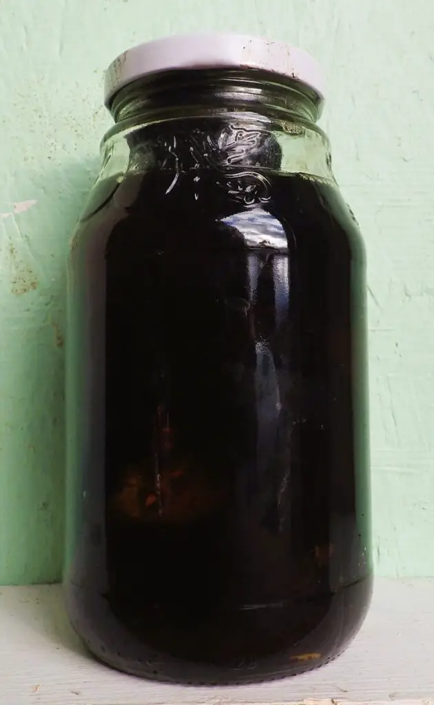 Black Walnut Tincture – White Vinegar Based