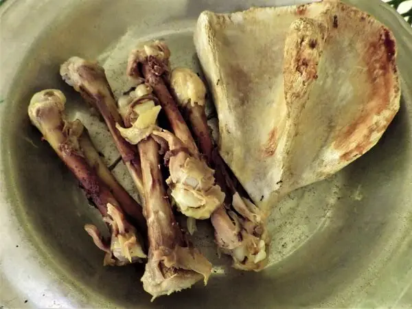 Bones in a Bowl