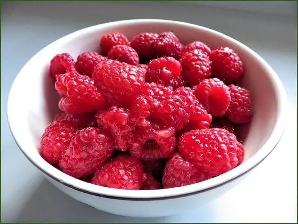 Bowl of Raspberries