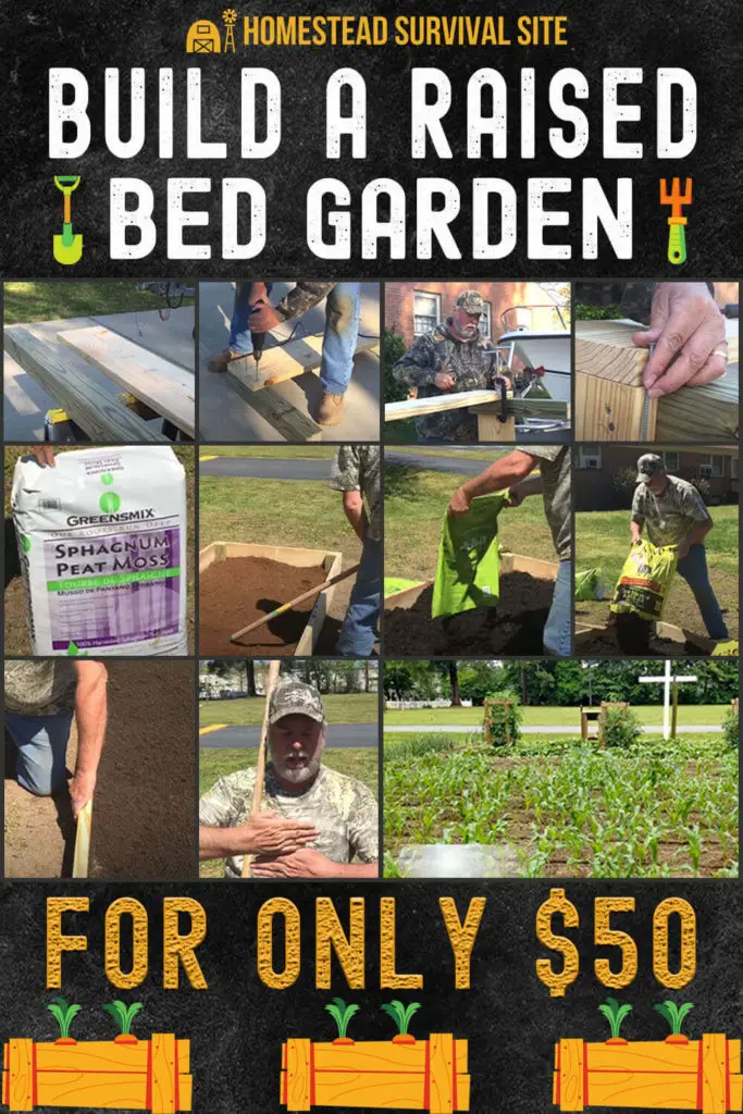 Build a Raised Garden Bed for Under $30