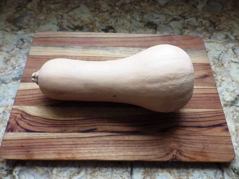 Butternut Squash