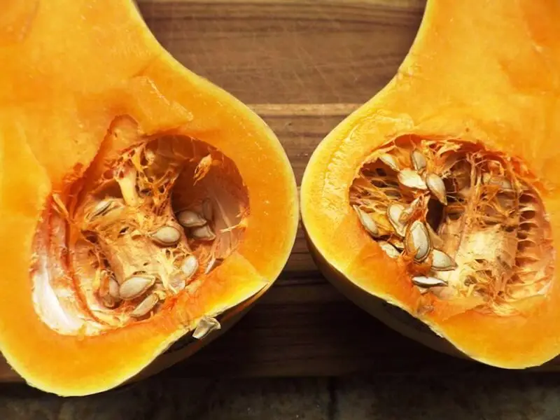 Butternut Squash Sliced in Half