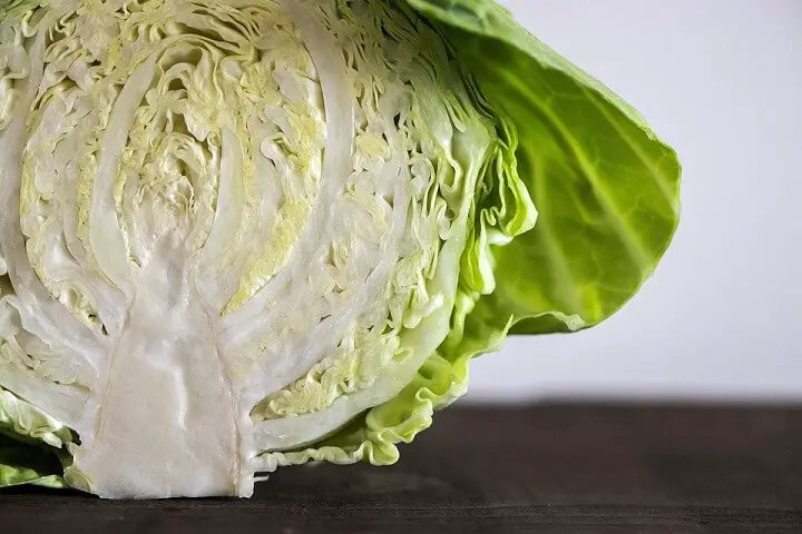 Cabbage Cut In Half
