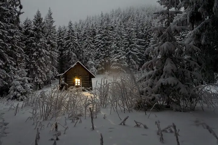 Cabin Winter Woods