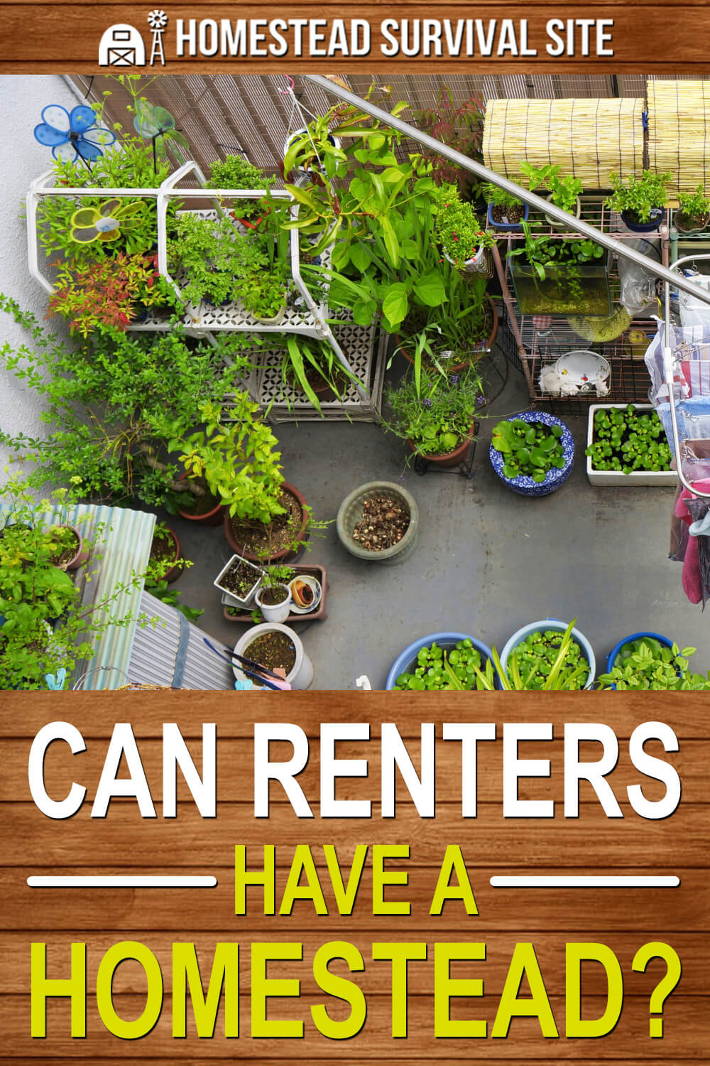Can Renters Have A Homestead?
