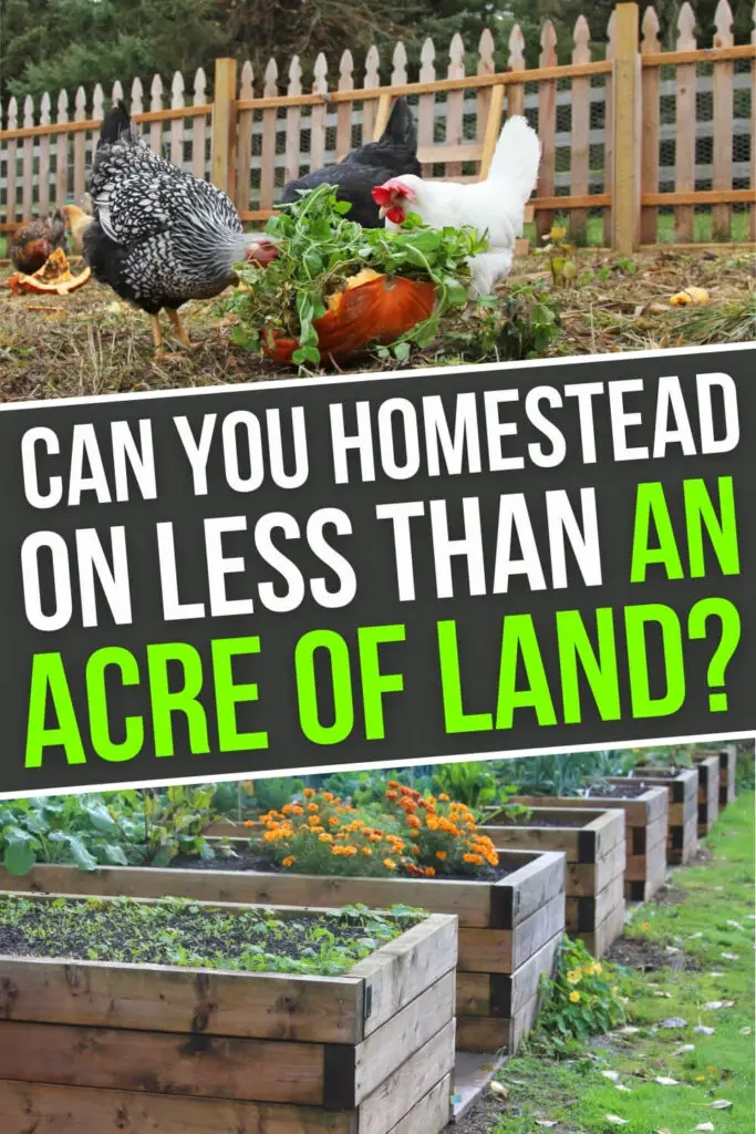 Can You Homestead On Less Than An Acre of Land?