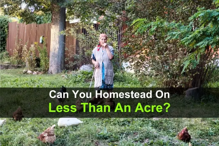 Can You Homestead On Less Than An Acre Of Land?