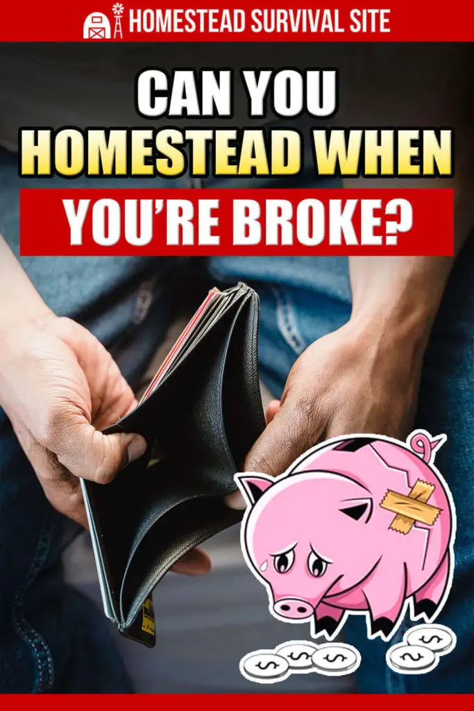 Can You Homestead When You're Broke?