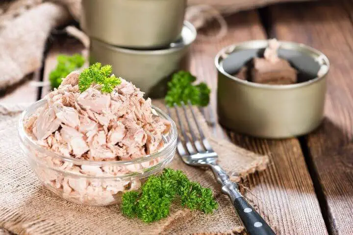 Canned Tuna in Dish