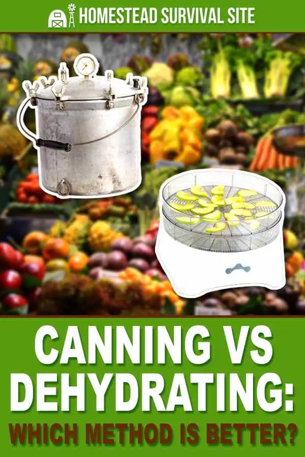 Canning vs Dehydrating: Which Method is Better?