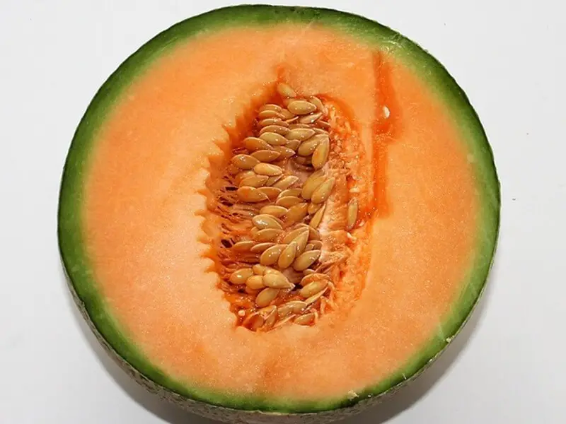 Cantaloupe Cut in Half