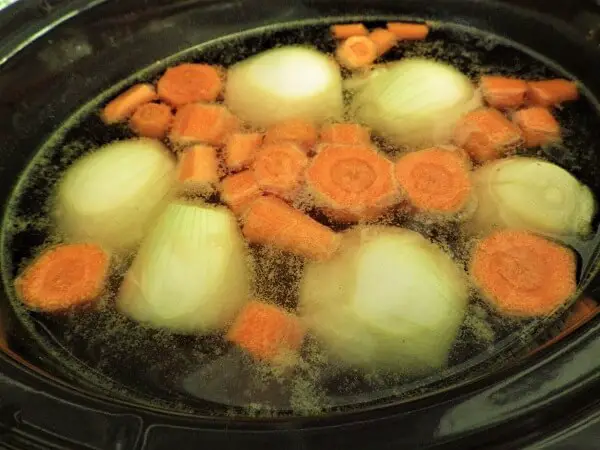 Carrots and Onion in the Water