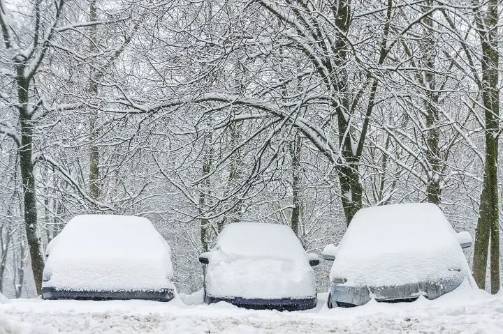 Cars Covered in Snow