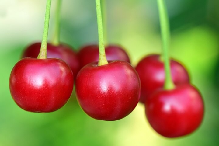 Cherry Fruit