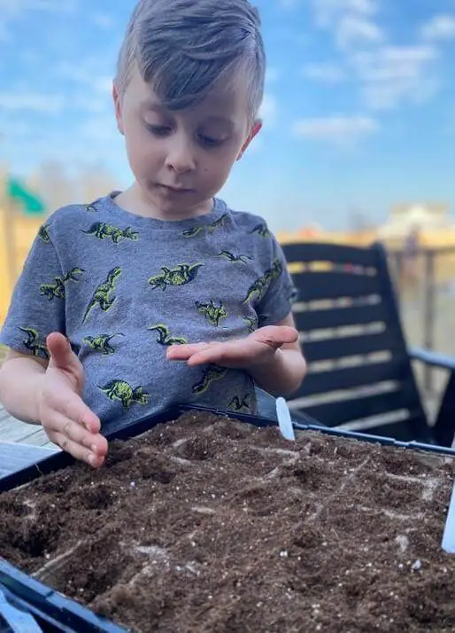 Child Checking On Seedlings