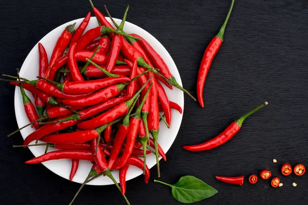 Chili Peppers