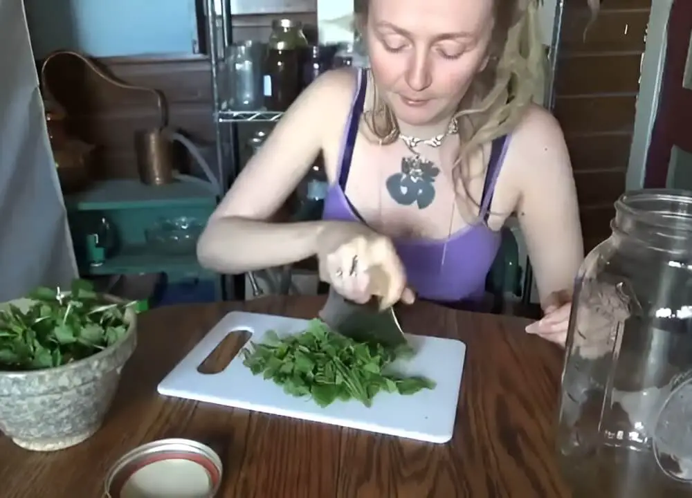 Chopping Lemon Balm