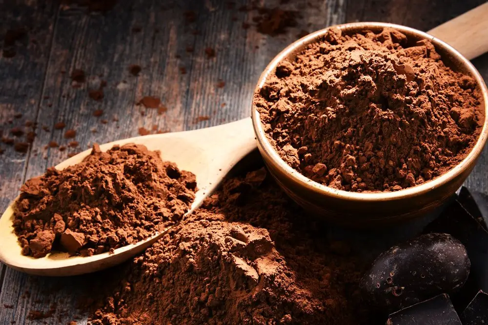 Cocoa Powder in Bowl