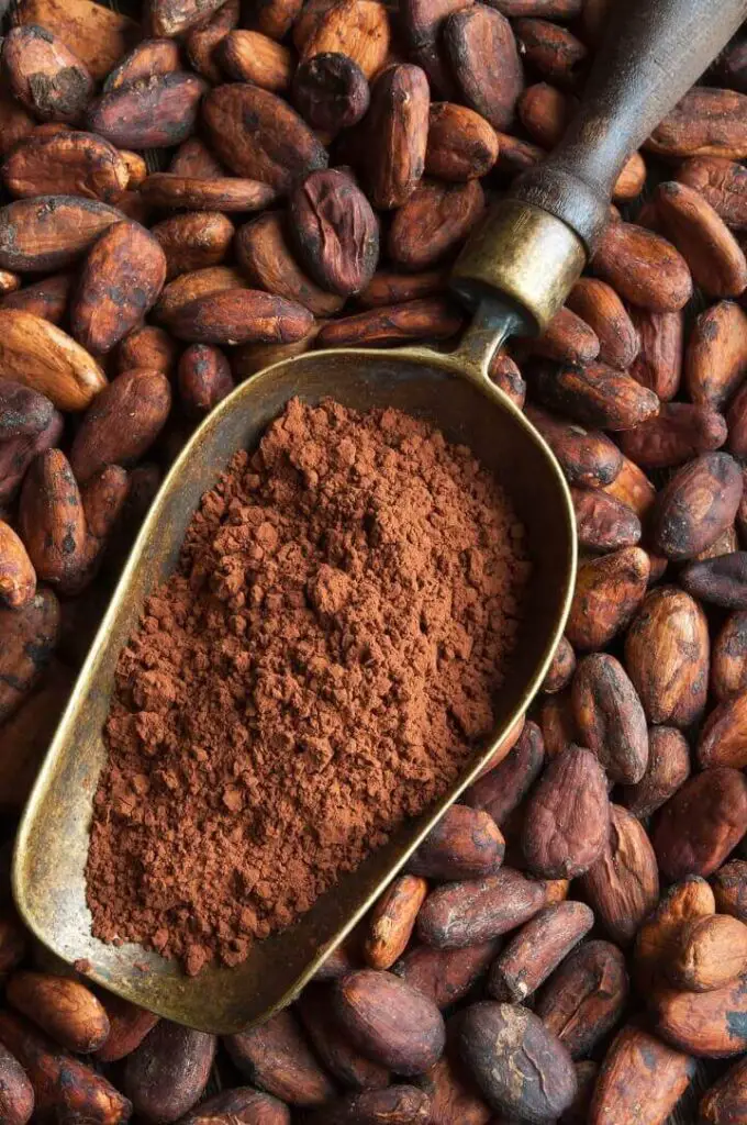Cocoa Powder and Beans
