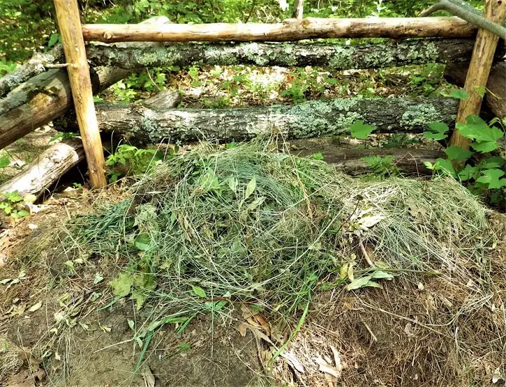 Compost Heap