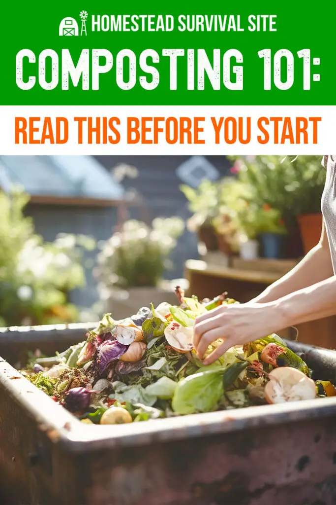 Composting 101: Read This Before You Start