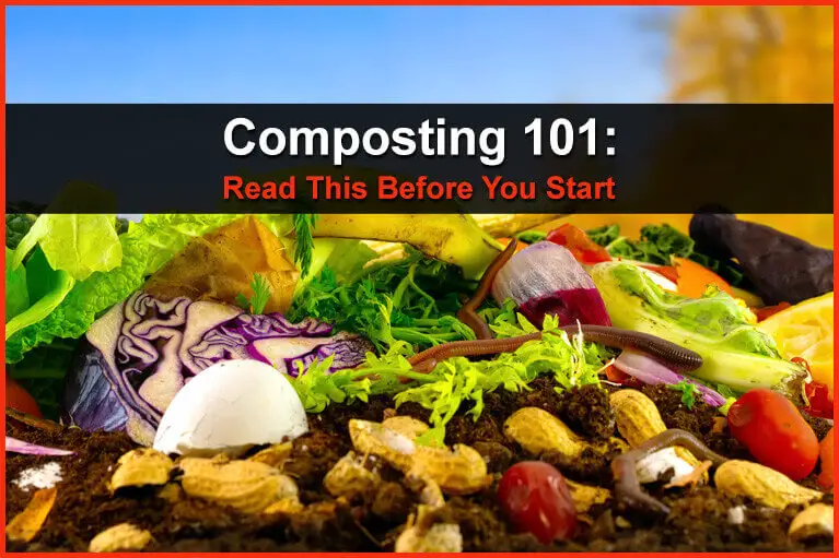 Composting 101: Read This Before You Start