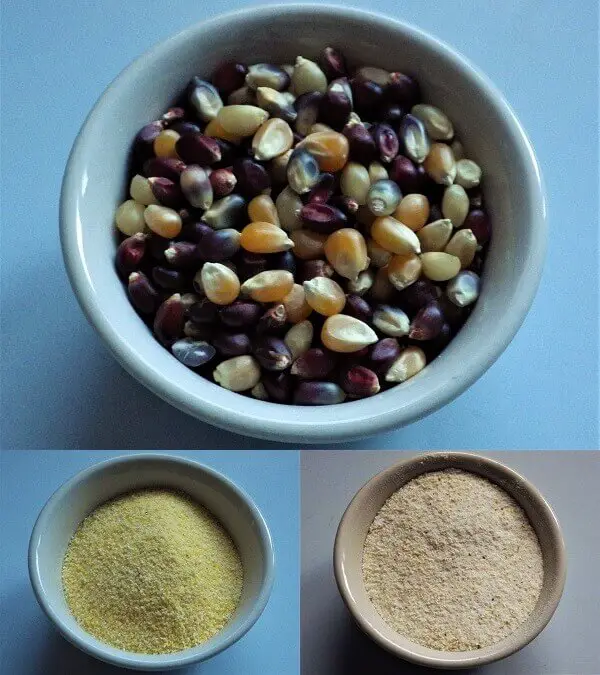 Corn Kernels Meal and Flour