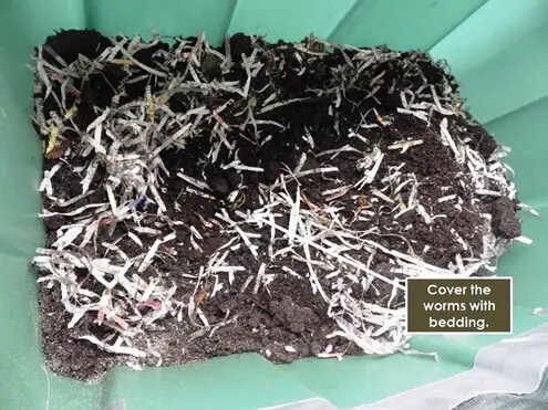 Cover The Worms With Bedding
