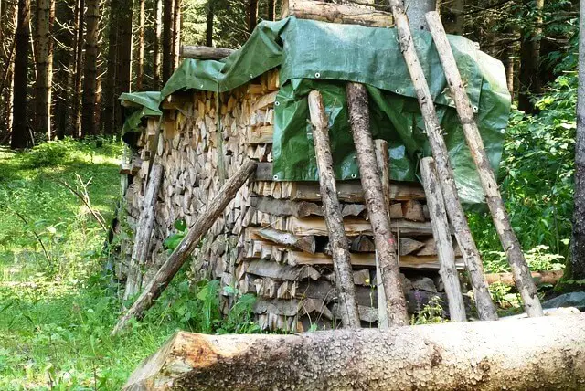 Covered Wood Pile