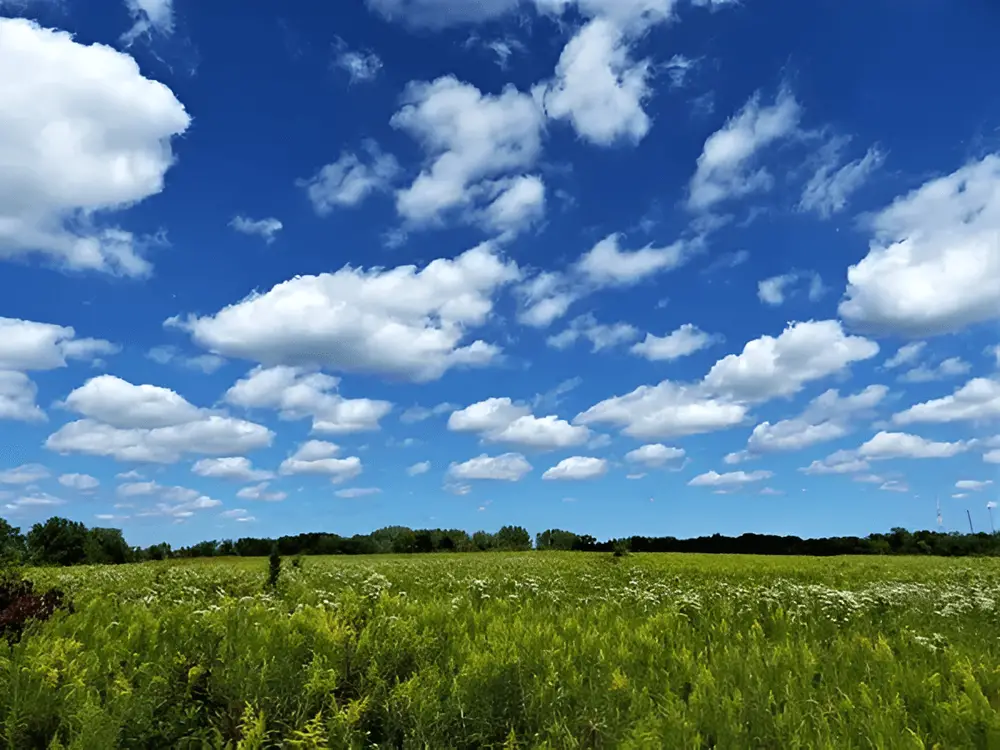 Cumulus Clouds