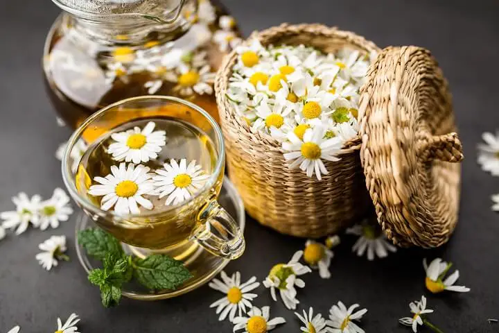 Cup of Chamomile Tea with Flowers