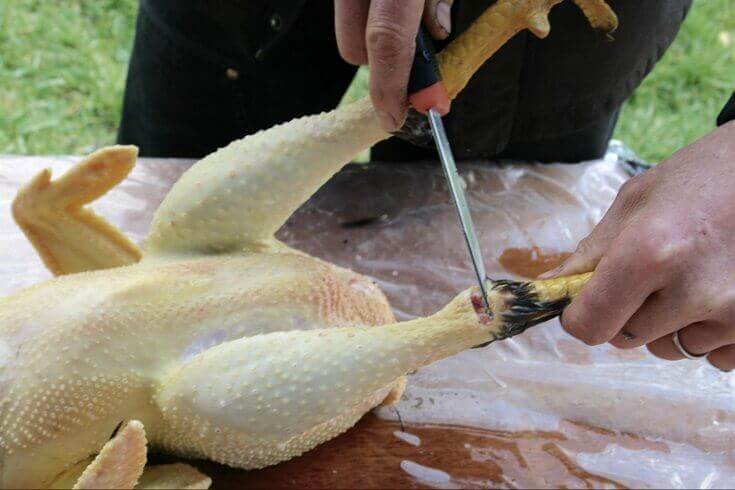 Cutting Feet Off Of Chicken