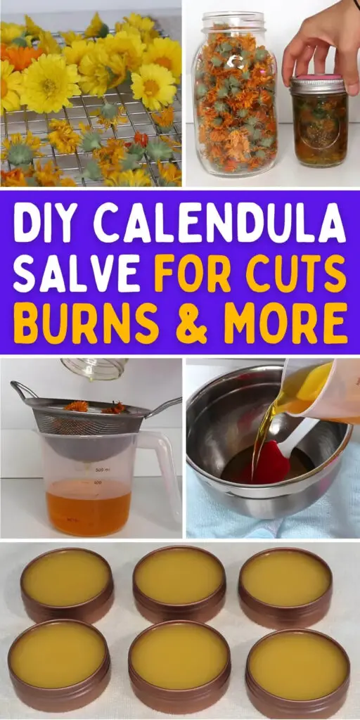 DIY Calendula Salve for Cuts, Burns, and More