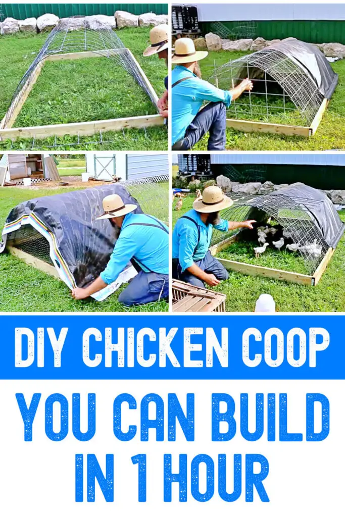 DIY Chicken Coop You Can Build In 1 Hour