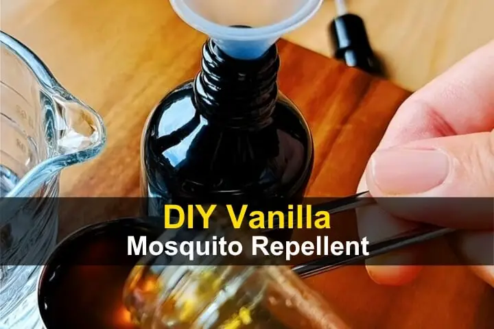 DIY Vanilla Mosquito Repellent