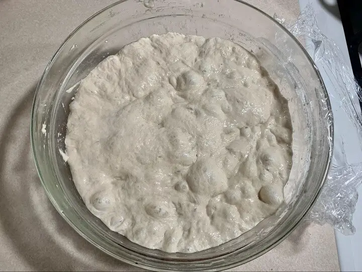 Dough After 12 Hours