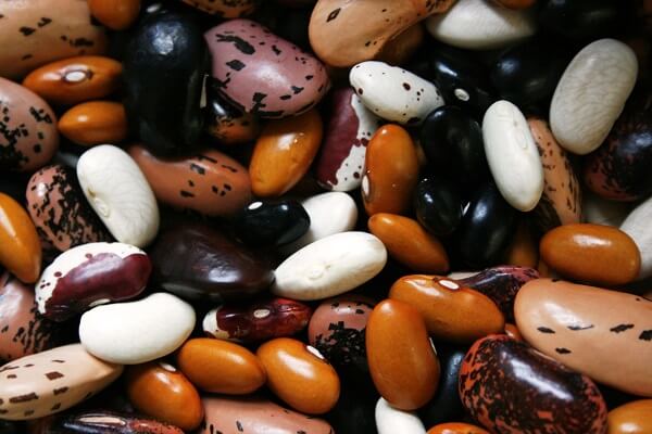 Dried Beans | Foods That Store Well in Root Cellars