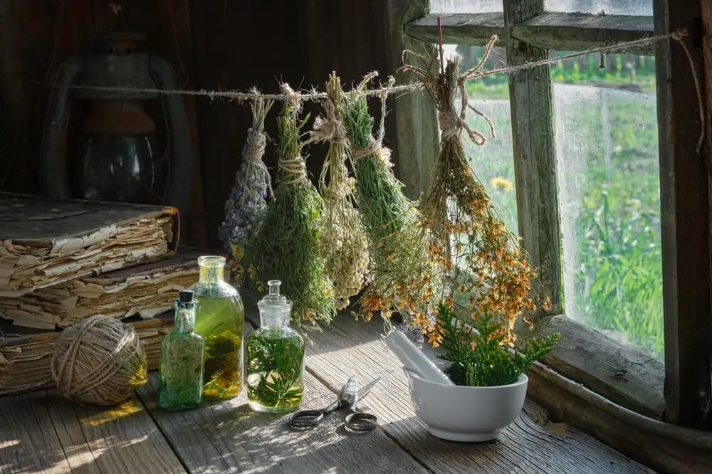 Dried Herbs and Infusion Bottles