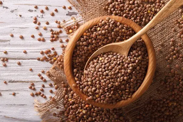 Dried Lentils in Bowl