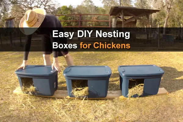 Easy DIY Nesting Boxes For Chickens