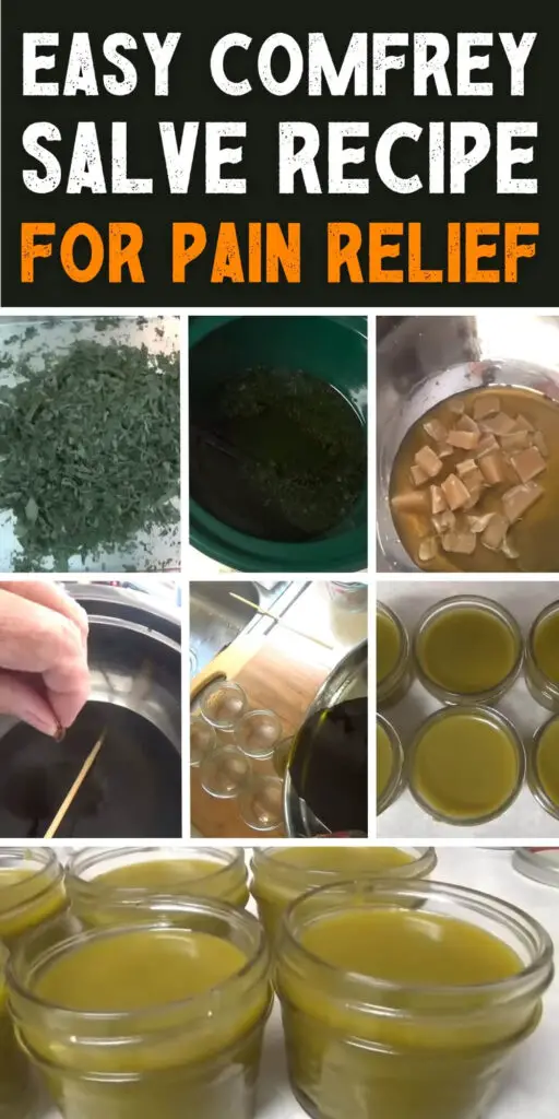 Easy Comfrey Salve Recipe for Pain Relief