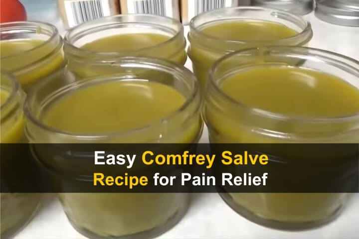 Easy Comfrey Salve Recipe for Pain Relief