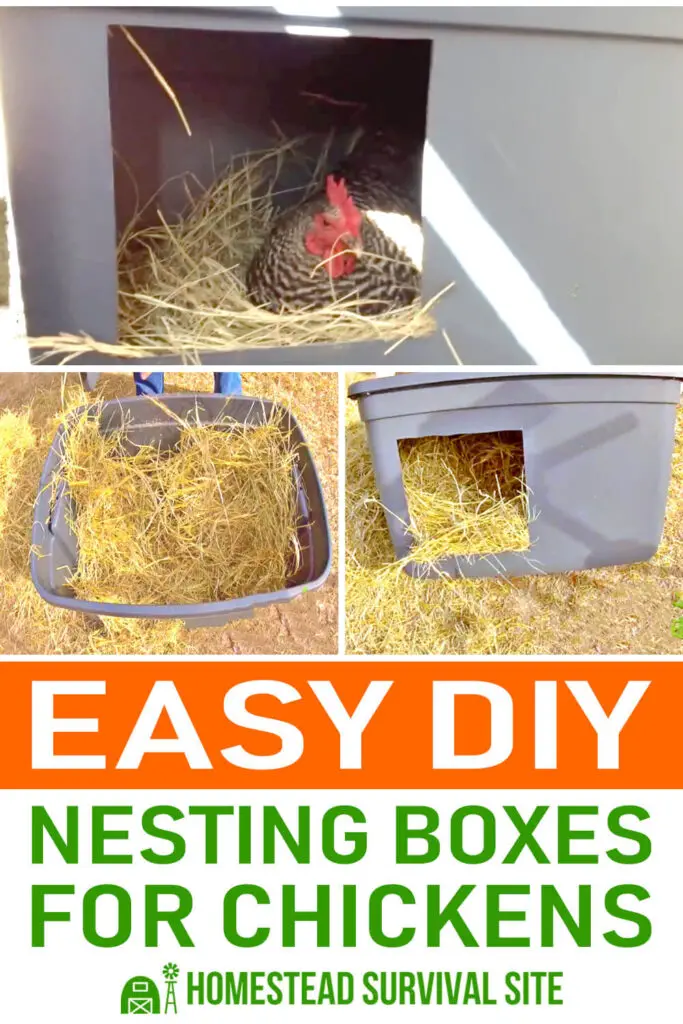 Easy DIY Nesting Boxes For Chickens