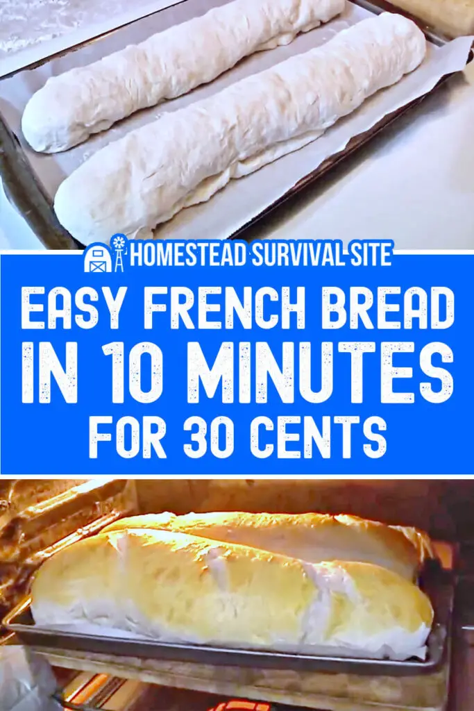 Easy French Bread in 10 Minutes for 30 CENTS