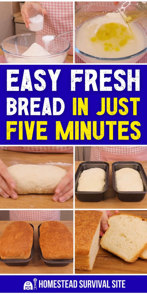 Easy Fresh Bread in Just 5 Minutes