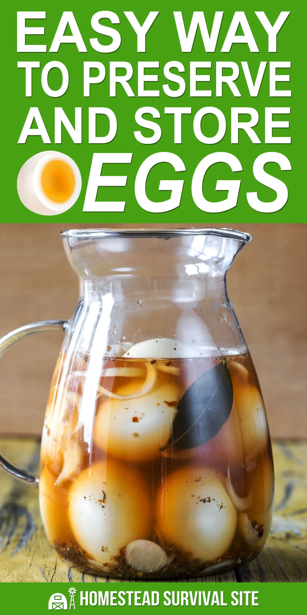 Easy Way To Preserve and Store Eggs