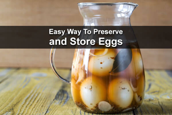 Easy Way To Preserve and Store Eggs