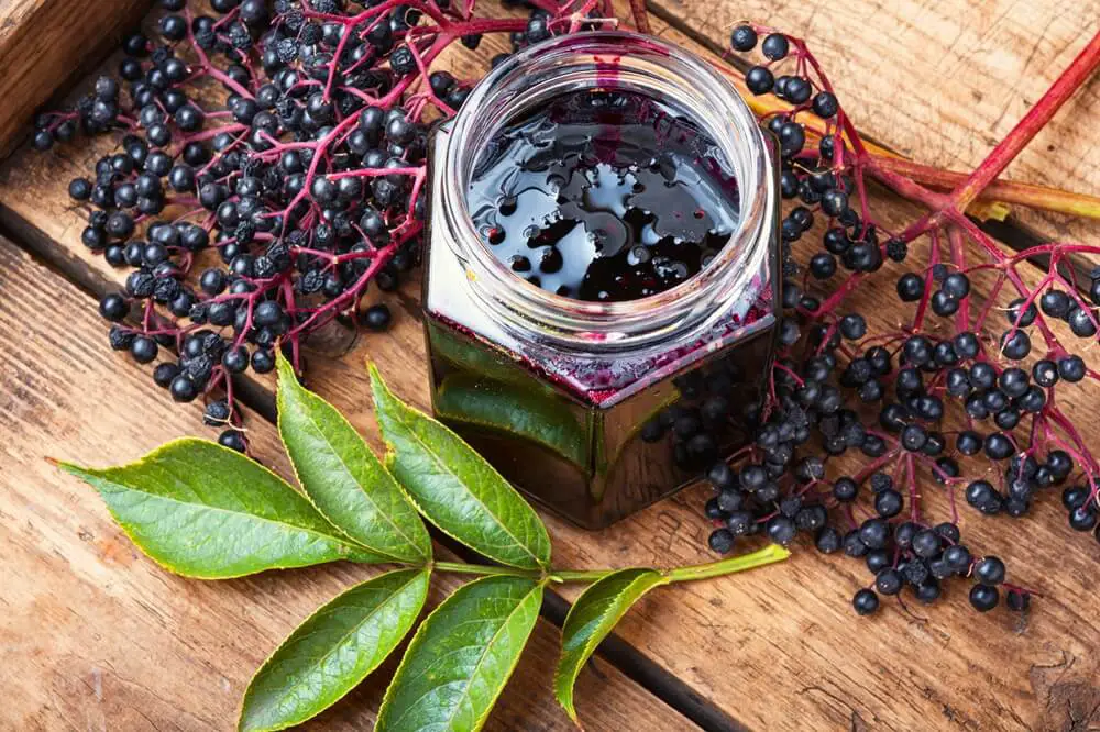 Elderberry Jam in Jar