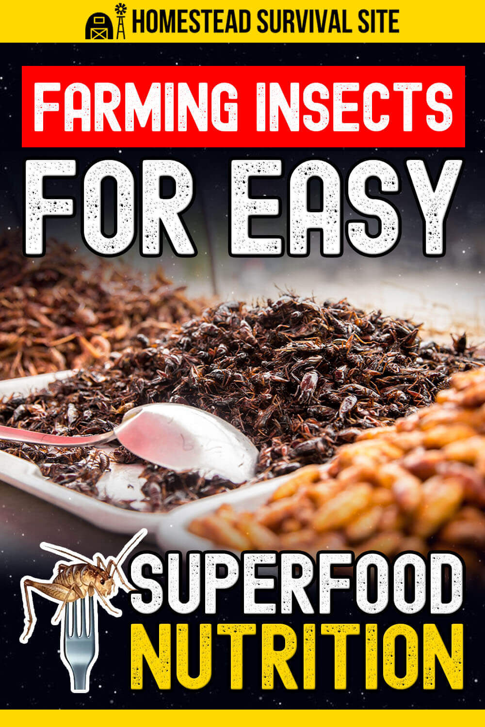 Farm Insecys Farming Insects for Easy Superfood Nutrition and Livestock Feed